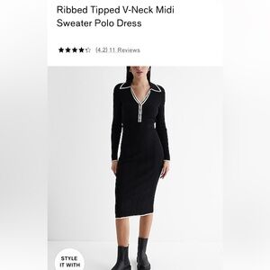 Express Sweater Polo Dress NWT Size M
